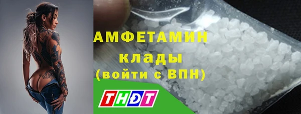 дмт Елабуга