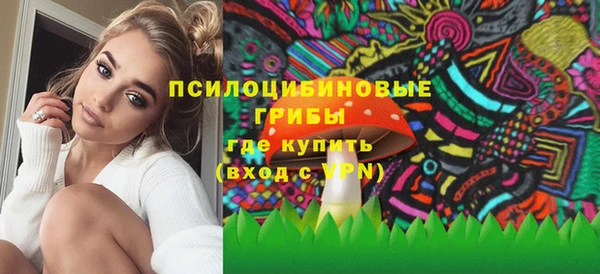Альфа ПВП Елизово