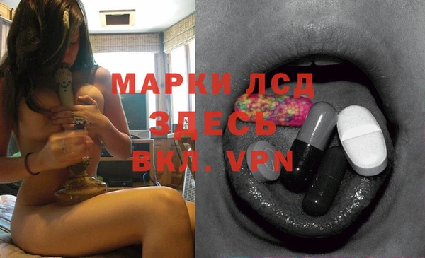 дмт Елабуга