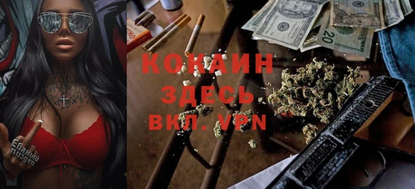 mdpv Ельня