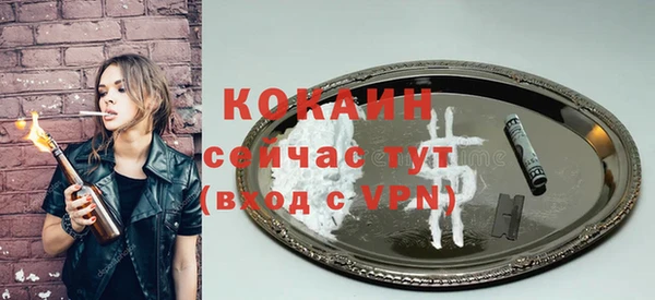 mdpv Ельня