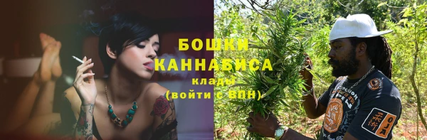 mdpv Ельня