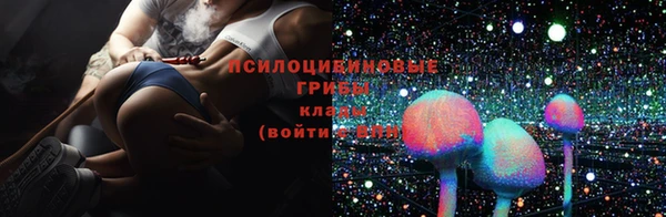 дмт Елабуга