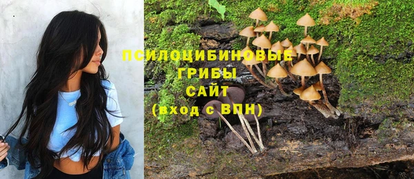 Альфа ПВП Елизово