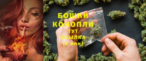 дмт Елабуга