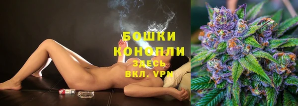 Альфа ПВП Елизово