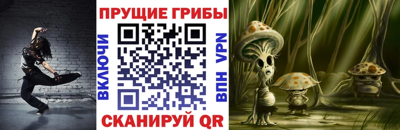 как найти закладки  Черкесск  Псилоцибиновые грибы мицелий 
